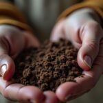 Durée de vie du charbon dans votre machine à laver : guide complet et astuces pratiques