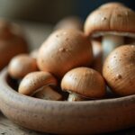 Tout savoir sur la cueillette des champignons : périodes idéales et conseils pratiques