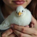 Poids précis d'un blanc d’œuf selon sa taille : guide complet