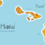 Explorer Hawaï : guide détaillé des îles et de leur localisation sur la carte du monde