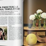 Beau Beau Blog : Inspirations déco écoresponsables, tendances actuelles et astuces pratiques